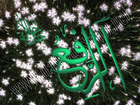 arafi3